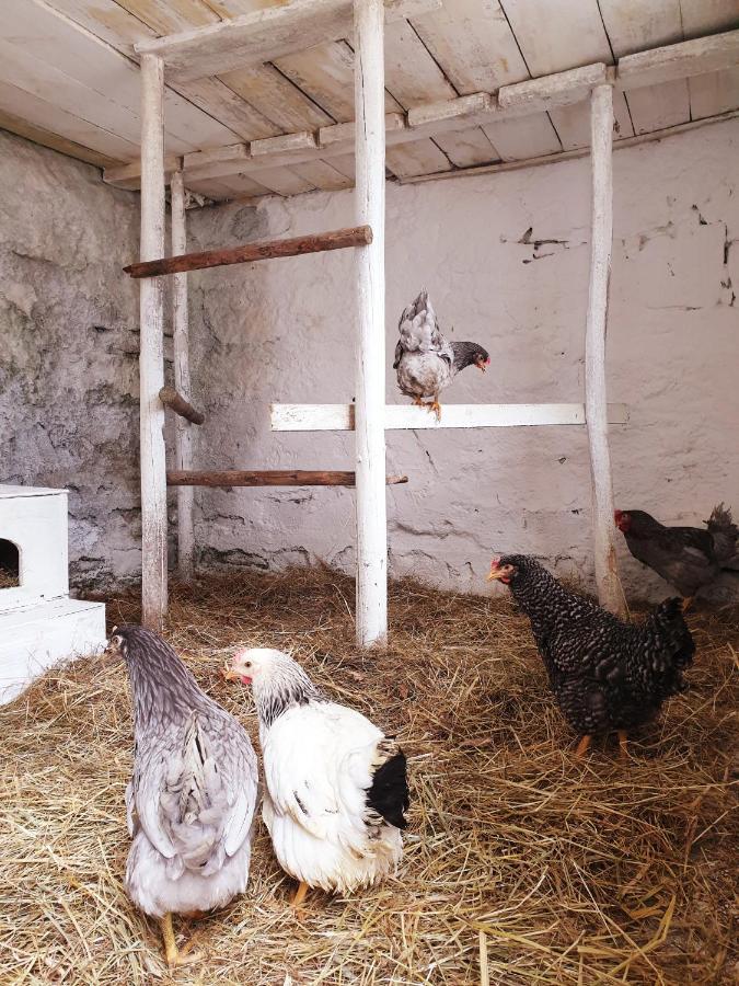 Die Alm In Schoellbuechl, Privatzimmer Sankt Martin  エクステリア 写真