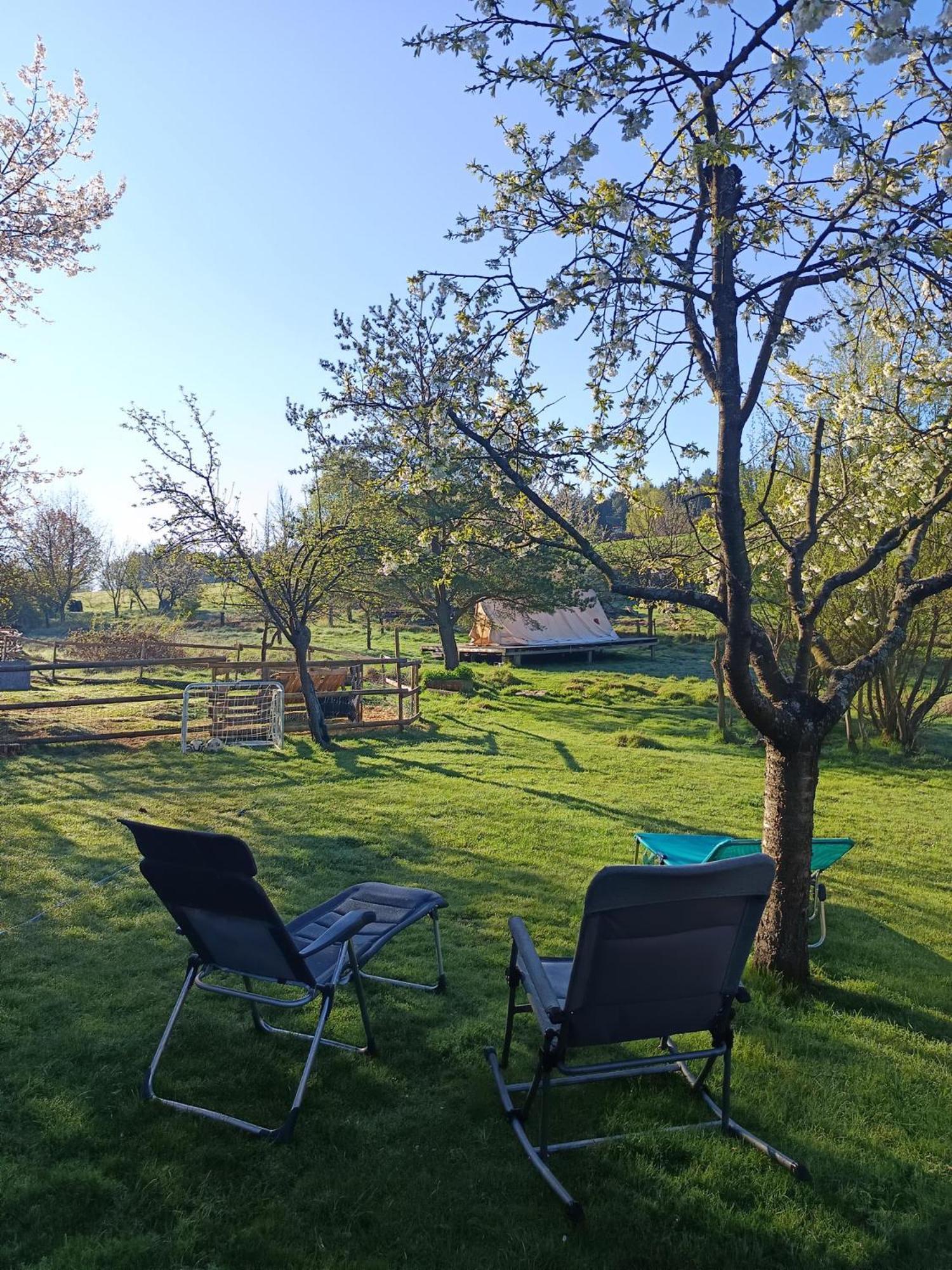 Die Alm In Schoellbuechl, Privatzimmer Sankt Martin  エクステリア 写真